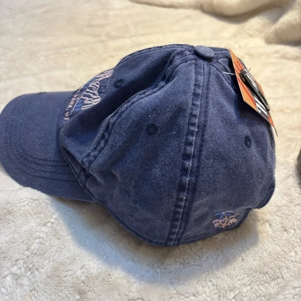 🇺🇸 NWT Kids Hat Zion National Park Blue Purple Adventure Cap Home Free Embroider